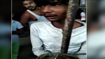 Agra News: On suspicion of theft, a young man was tied to a tinshed pole, then brutally beaten up