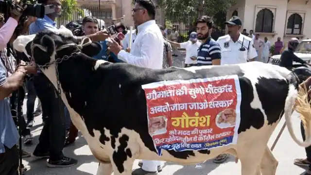 Hindustan Hindi News