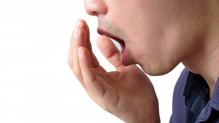 Bad Breath |  Use this leaf to get rid of bad breath, there are other effective remedies.  Navabharat