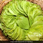 Betel Leaf Water Benefits: पान के पत्तों का पानी पीने के 5 जबरदस्त फायदे, कई रोगों के इलाज में मददगार
