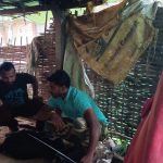 Bhandara News |  Wolves hunted 6 goats;  The cattle ranchers are troubled by the terror of the wolves.  Navabharat