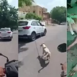 Hindustan Hindi News