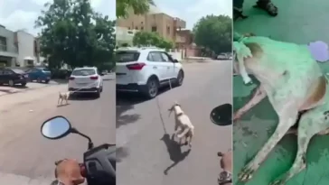 Hindustan Hindi News