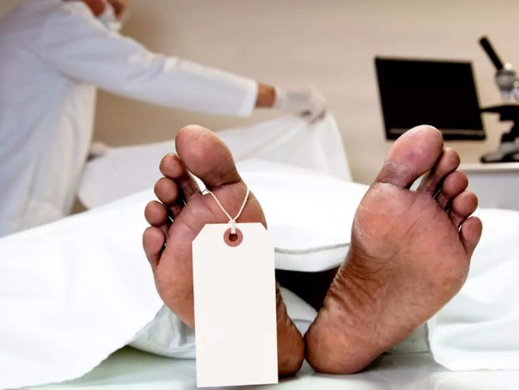 Dokancha Chakravoon Gelen!  After death, the preparation would have started, one day the half-young living layer came.