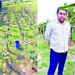Dragon Fruit: Software engineer grew dragon fruit during work from home, now earning lakhs of rupees