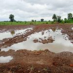 Farmers Help |  Farmers have not got help till now, approved but funds did not come.  Navabharat
