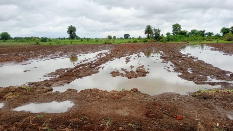Farmers Help |  Farmers have not got help till now, approved but funds did not come.  Navabharat