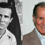 Henry Silva Dies At 95 |  'Ocean's XI' fame Hollywood actor Henry Silva dies, breathed his last in hospital  Navabharat