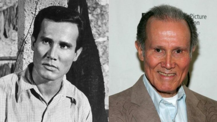 Henry Silva Dies At 95 |  'Ocean's XI' fame Hollywood actor Henry Silva dies, breathed his last in hospital  Navabharat