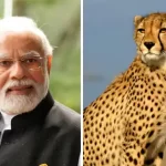 Hindustan Hindi News