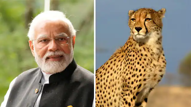 Hindustan Hindi News
