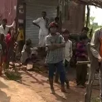 MP : चीतों के शोर के पीछे दबा
