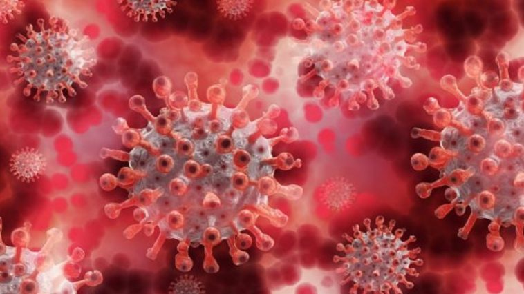 Memory Problems |  Memory problems during the corona pandemic  Navabharat