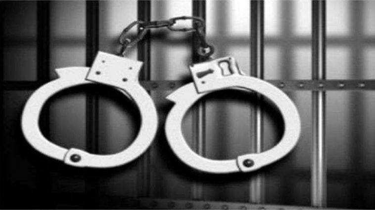 Mumbai Crime |  Woman arrested for practicing law without degree  Navabharat
