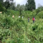 Narcotics Department caught cannabis cultivation in 23 villages of Kullu with the help of GPS and Drone