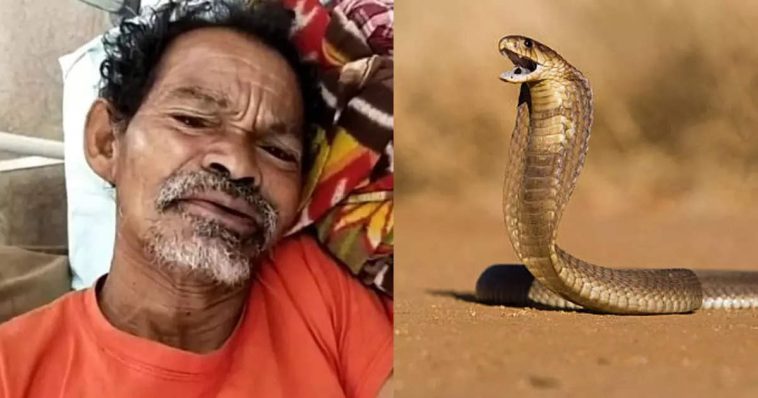 Strange!  Sapachan Shir Chhatoon Unhat Vaalvalam;  Dim Aachevar Bhajun Khallam An Mag...