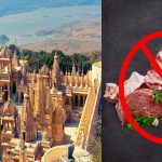 The Only Vegetarian City |  The only city in the world that is completely vegetarian, there is a ban on non-vegetarian food.  Navabharat