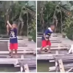 The little child hunted the fish with hard work... the cat flew away the very next moment