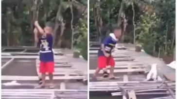 The little child hunted the fish with hard work... the cat flew away the very next moment