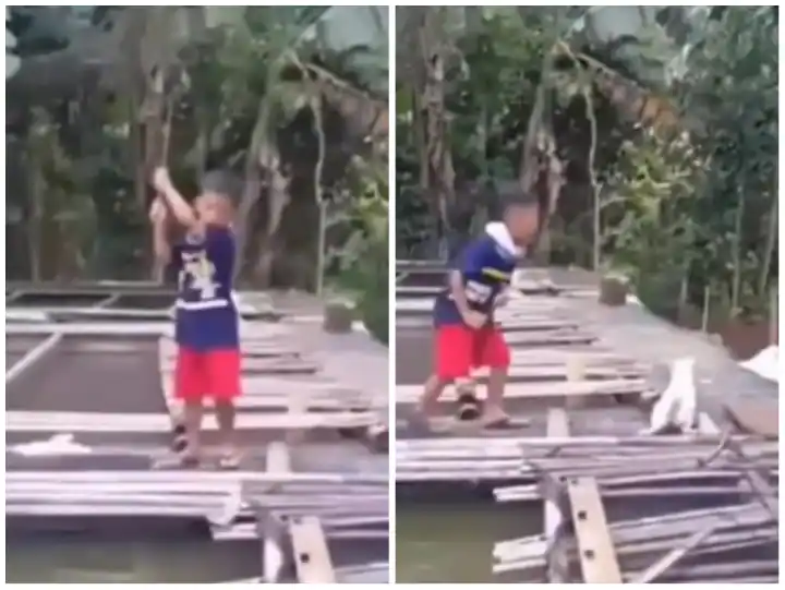 The little child hunted the fish with hard work... the cat flew away the very next moment