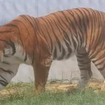 Hindustan Hindi News