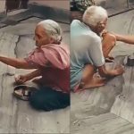 Viral Video |  Woman IAS officer told 'what is love', your heart will be happy after watching romantic video.  Navabharat