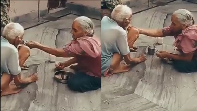 Viral Video |  Woman IAS officer told 'what is love', your heart will be happy after watching romantic video.  Navabharat